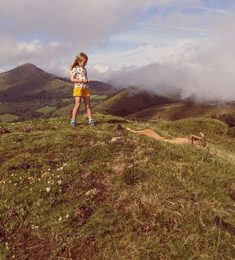 Agenda de Aster&Goldenrod